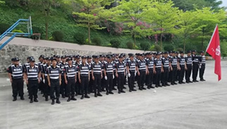 佛山城市管理局樂從分局