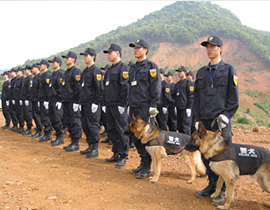 警犬護(hù)衛(wèi)